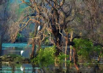 Daily News Reel - Ranjandih of Purulia Ranjandih