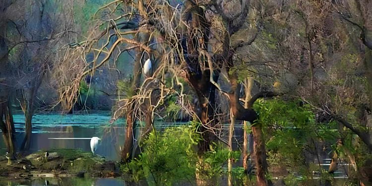 Daily News Reel - Ranjandih of Purulia Ranjandih