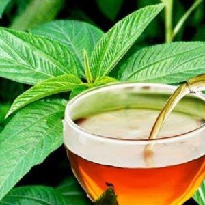 Daily News Reel - Tea Made by Jute Leaf