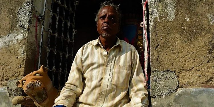 Daily News Reel - pathetic story of tiger survivor sundarbans