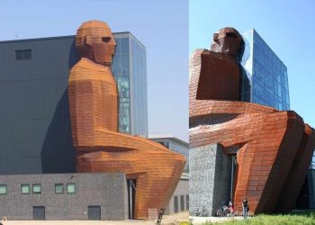 Daily News Reel - Museum of Human Anatomy