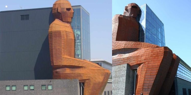 Daily News Reel - Museum of Human Anatomy