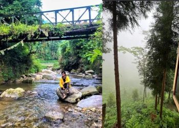 Daily News Reel - Offbeat Destination Fazi