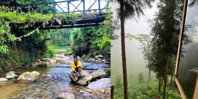 Daily News Reel - Offbeat Destination Fazi