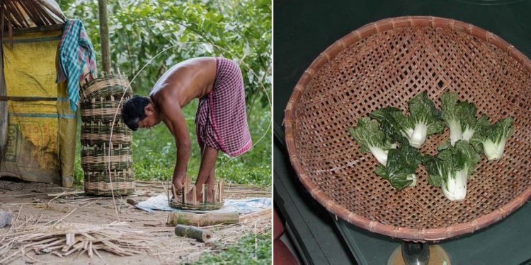 Daily News Reel - Only Occupation of This Bengal Tribe is Bamboo Craft