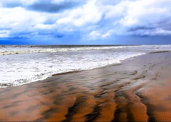 Daily News Reel - Offbeat Sea Beach Dagara