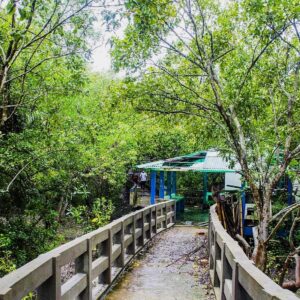 Daily News Reel - Golpata Forest Tourist Spot