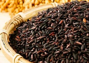 Daily News Reel - Kalo Nunia Rice of North Bengal Got The GI Tag