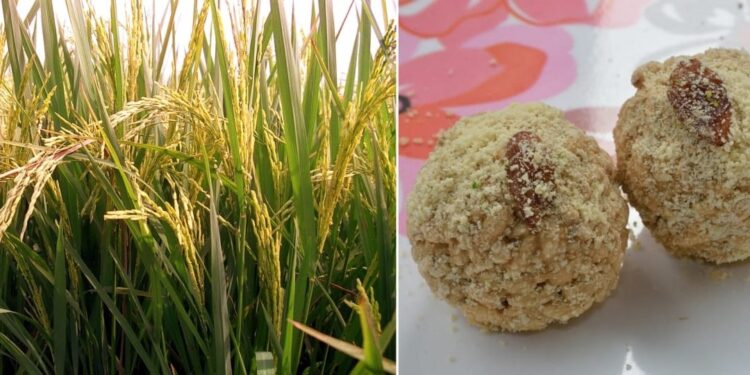 Daily News Reel - Kanakchur Paddy is Used for Joynagarer Moa