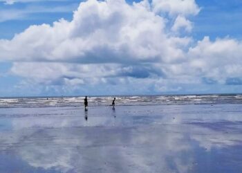 Daily News Reel - Offbeat Bankiput Sea Beach