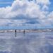 Daily News Reel - Offbeat Bankiput Sea Beach