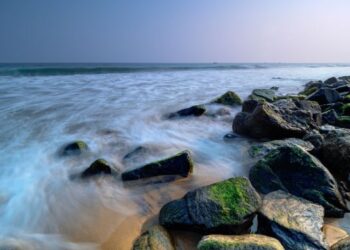 Daily News Reel - Offbeat Destination AryaPalli Sea Beach