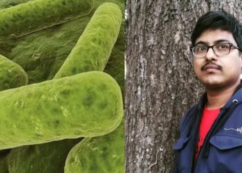 Daily News Reel - Bengali Researcher Discovers New Beneficial Bacteria
