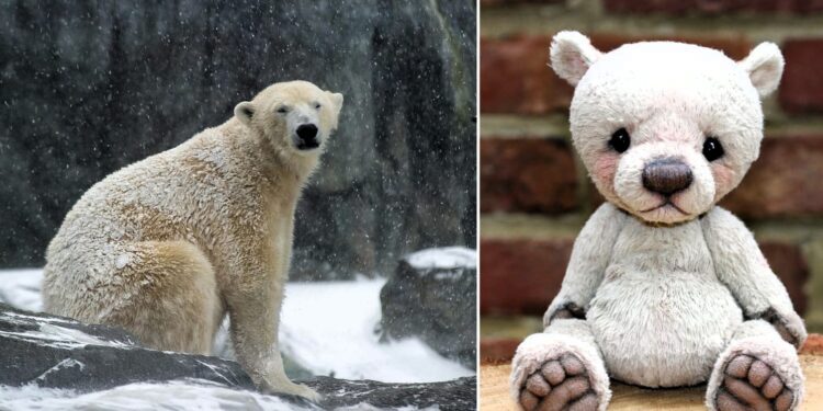 Daily News Reel - Instinction of Polar Bears