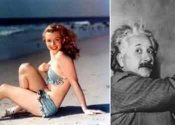 Daily News Reel - Marilyn Monroe Proposed Albert Einstein