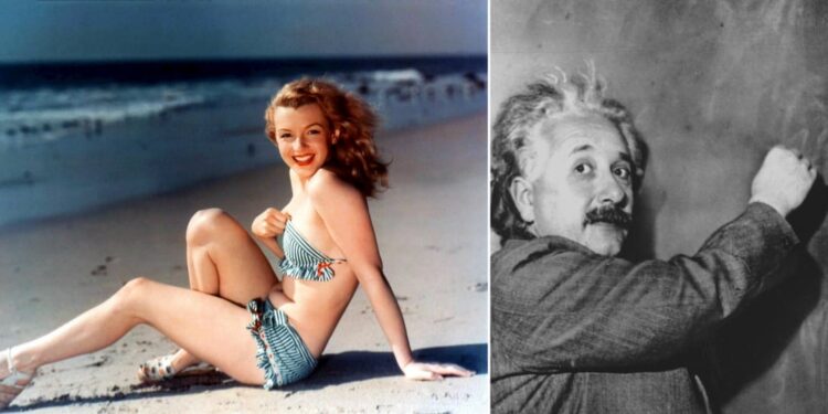 Daily News Reel - Marilyn Monroe Proposed Albert Einstein