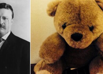 Daily News Reel - Teddy Bear and American President Theodore Roosevelt