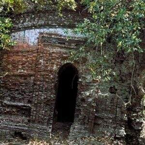 Daily News Reel - 400 Years Ancient Kali Temple of Sundarban
