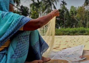 Daily News Reel - Famous White Semai of Bagura Bangladesh