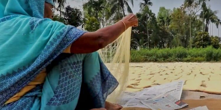 Daily News Reel - Famous White Semai of Bagura Bangladesh