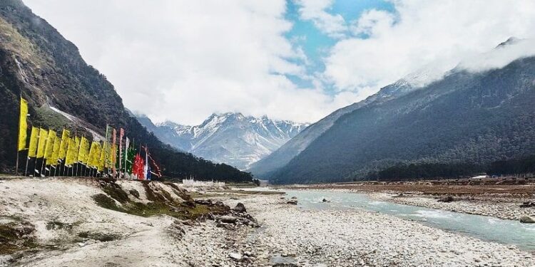 Daily News Reel - Yumthang Valley of Flowers