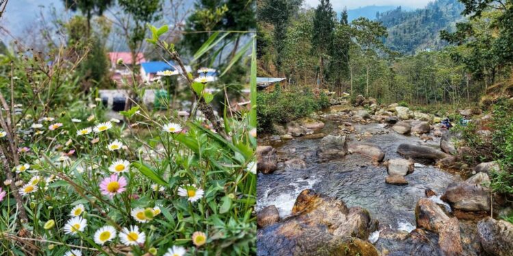 Daily News Reel - An Offbeat Destination of North Bengal