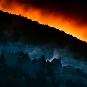 Daily News Reel - Uttarakhand Nainital Forest Fire Spreading