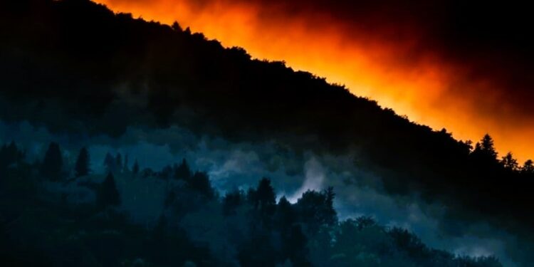 Daily News Reel - Uttarakhand Nainital Forest Fire Spreading