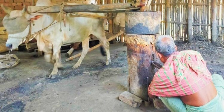 প্রায় মৃত ঘানি শিল্পের শুরুটা বেশ পুরোনো।