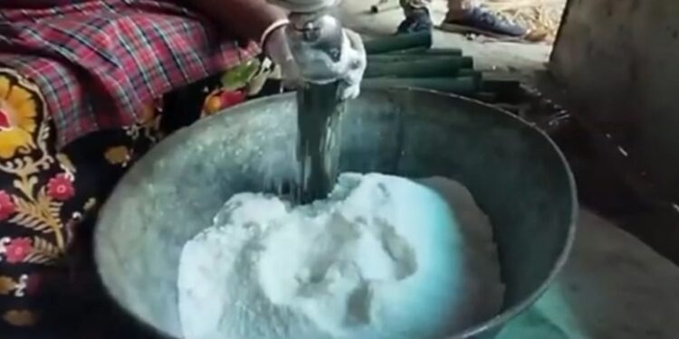 দক্ষিণ ২৪ পরগনায় বাঁশ থেকে লবণ! এক নতুন শিল্পের আগমন