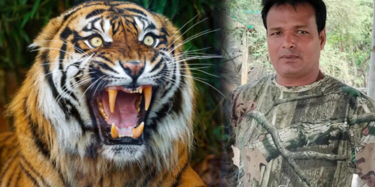 সুন্দরবনের বাঘ ও মানুষের সংঘাতে এক নির্ভীক পথপ্রদর্শক: গনি টাইগার