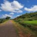 Daily News Reel - Odisha Damanjodi tourism