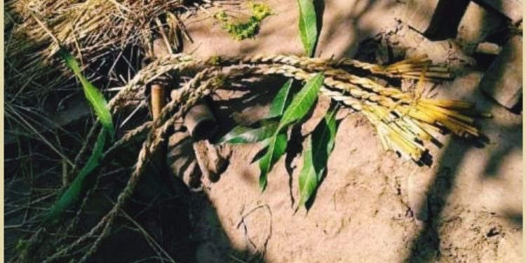 আউনি-বাউনি কোথাও না যেও, ৩ দিন ঘরে বসে পিঠেপুলি খেও!