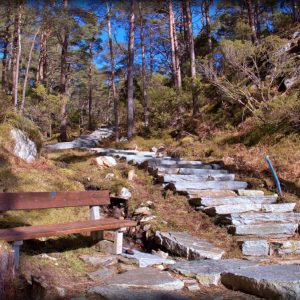 Daily News Reel - Norway Mountain Staircase By Sherpa