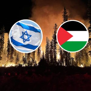 Daily News Reel - Palestine Helps Israel With Wildfire