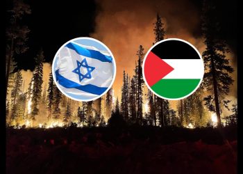 Daily News Reel - Palestine Helps Israel With Wildfire