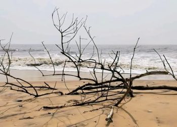 পুজোর ছুটির গন্তব্য হোক ‘অফবিট’ নির্জন পরিখী সমুদ্রসৈকত