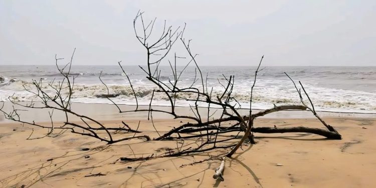 পুজোর ছুটির গন্তব্য হোক ‘অফবিট’ নির্জন পরিখী সমুদ্রসৈকত