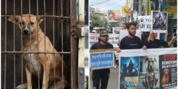 “সরকার কাজ করেনা আর দোষ কুকুরের!”— রাস্তায় নামল শ্রীরামপুর