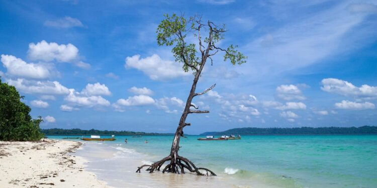 Daily News Reel - Shompen Tribe of Andaman Nicobar