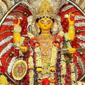 সিংহের ওপর বাবু হয়ে বসে জগদ্ধাত্রী, ঐতিহ্যের পুজো বটকৃষ্ণ পালের বাড়িতে images6-ezgif.com-resize