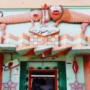 পাকিস্তানের বুকে পূজিত হন দেবী কালী! আজও রয়েছে মন্দির Daily News Reel - Kali Temple in Pakistan