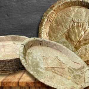 Daily News Reel – Sal leaf plate at Jalpaiguri Feature-min