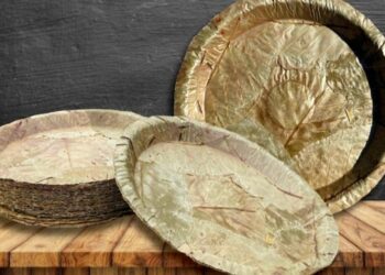 সবুজ বাঁচানোর সৈনিক শালপাতা! পথ দেখাচ্ছে জলপাইগুড়ির জঙ্গল