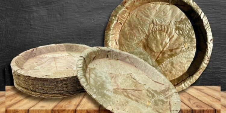 সবুজ বাঁচানোর সৈনিক শালপাতা! পথ দেখাচ্ছে জলপাইগুড়ির জঙ্গল