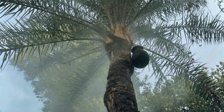 হারিয়ে যাওয়া শীতের সকাল – খেজুর রস, পিঠে আর এক দীর্ঘশ্বাসের গল্প!