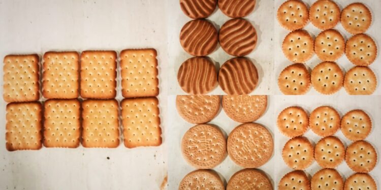 দামে সস্তা, মানে সেরা—বিস্কুট বাজারে নজর কাড়তে প্রস্তুত Tasty Titbits!