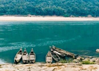 Daily News Reel - Winter Destination Satkosia