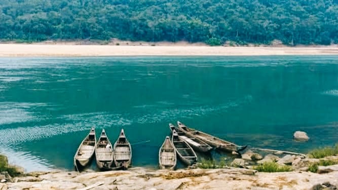 Daily News Reel - Winter Destination Satkosia