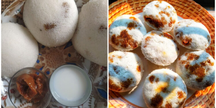 মুর্শিদাবাদের ধুকি পিঠে, পৌষের শীত, ঐতিহ্য আর নতুনত্বের মেলবন্ধন